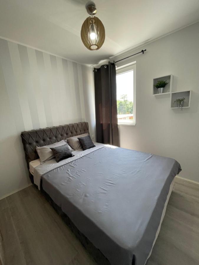 Apartmani Borova 2 Veliko Gradište Εξωτερικό φωτογραφία
