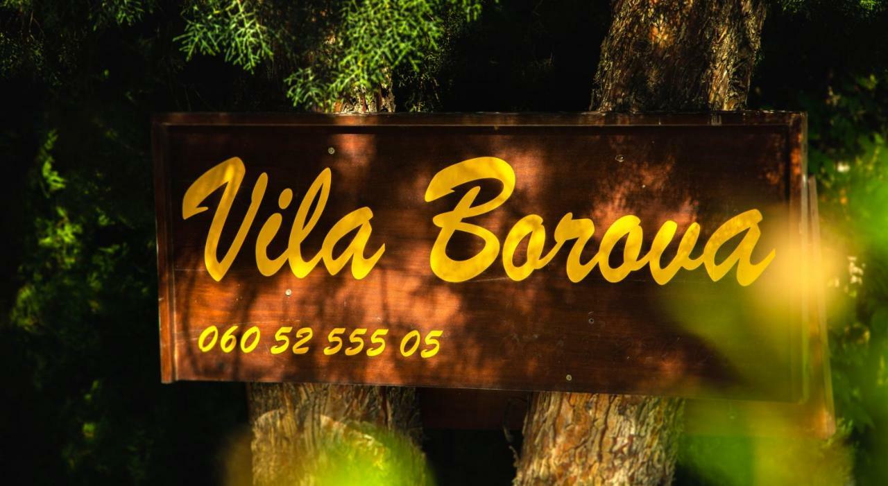 Apartmani Borova 2 Veliko Gradište Εξωτερικό φωτογραφία